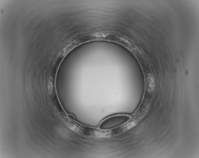 X0000078830707200611271257