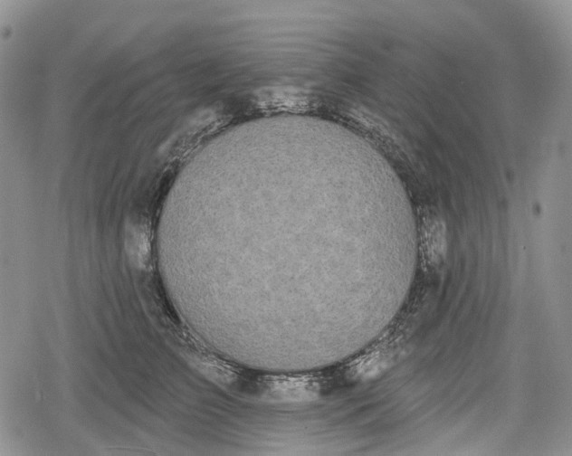 X0000078830709200611271257