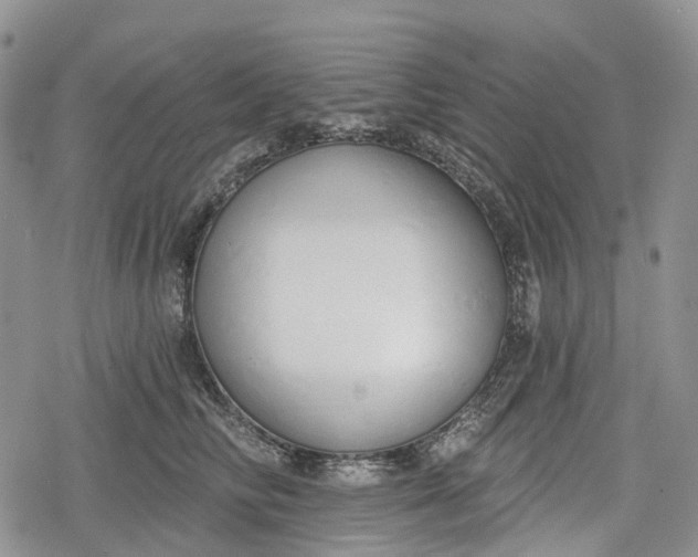 X0000078830710200611271257