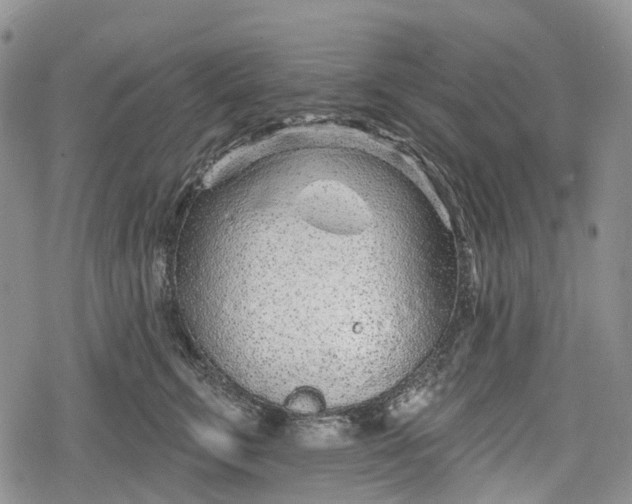 X0000078830711200611271257