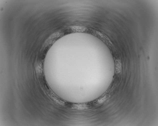 X0000078830713200611271257