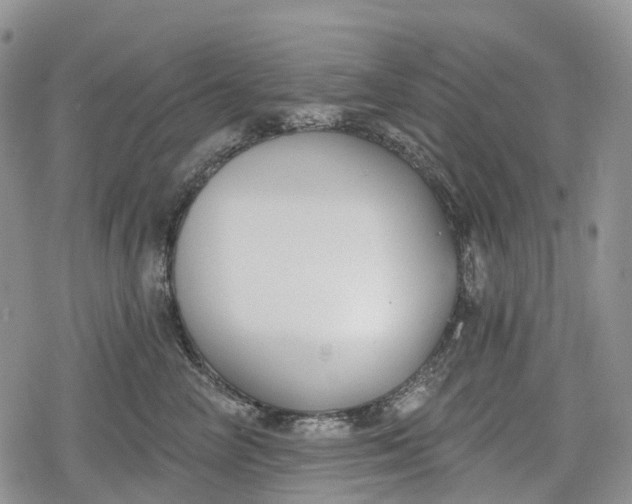 X0000078830714200611271257