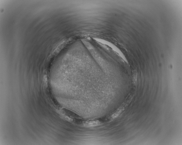 X0000078830716200611271257