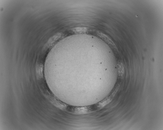 X0000078830717200611271257