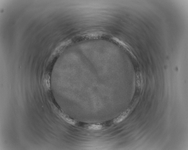 X0000078830718200611271257