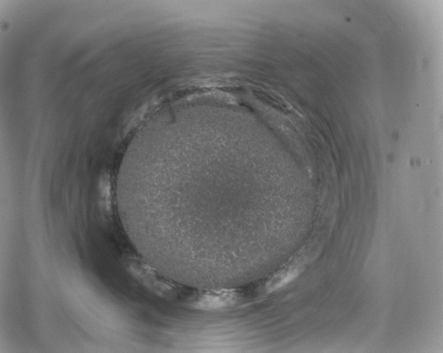 X0000078830720200611271257