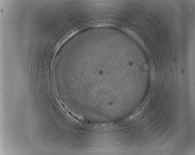 X0000078830721200611271256