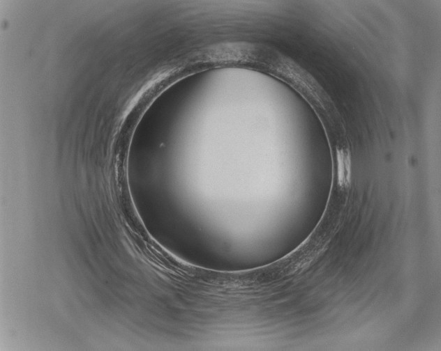 X0000078830723200611271256