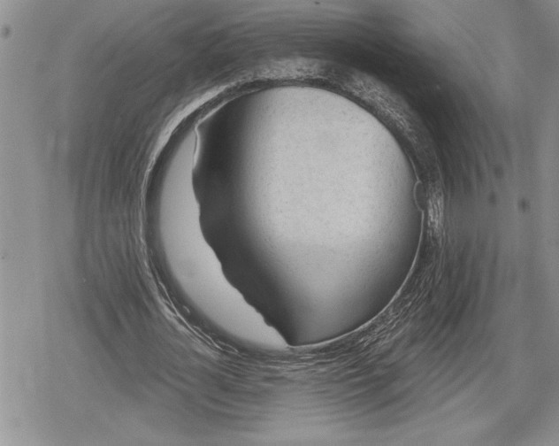 X0000078830724200611271256