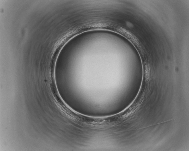 X0000078830725200611271256