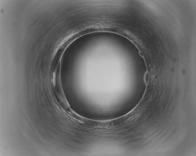 X0000078830727200611271256