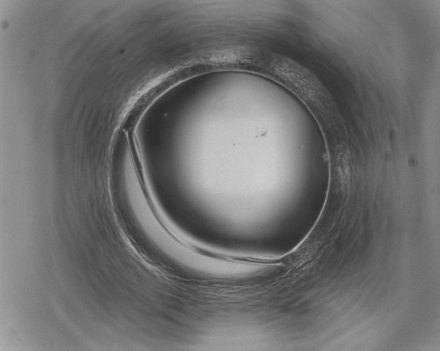 X0000078830728200611271256