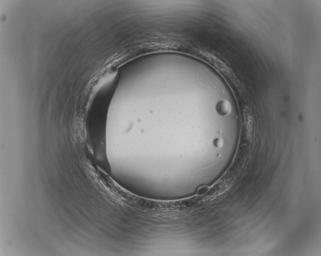 X0000078830729200611271256