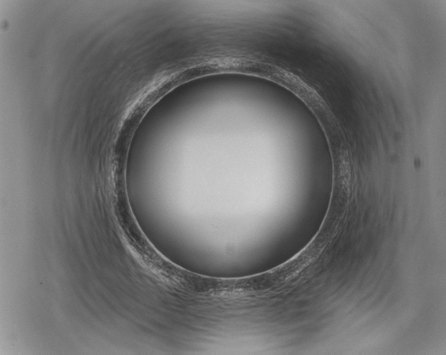 X0000078830730200611271256