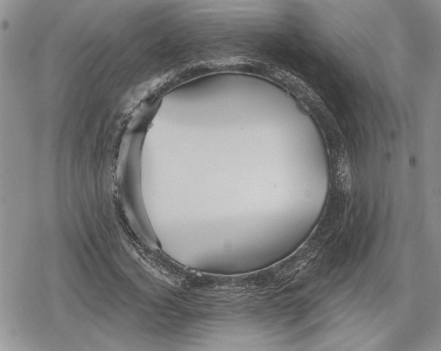 X0000078830732200611271256