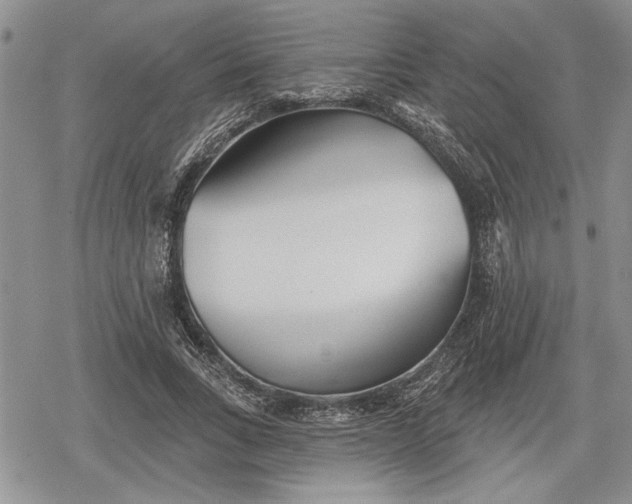 X0000078830735200611271256