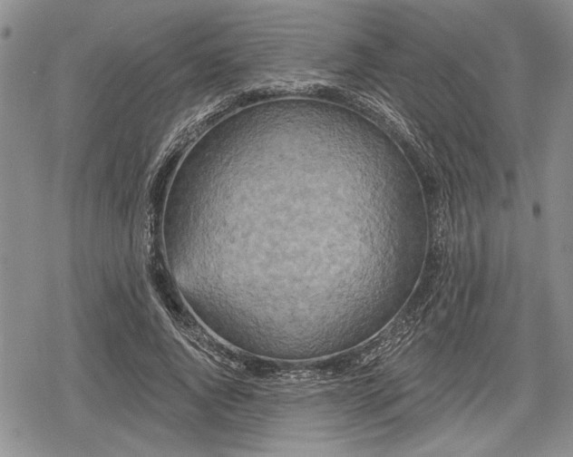 X0000078830736200611271256