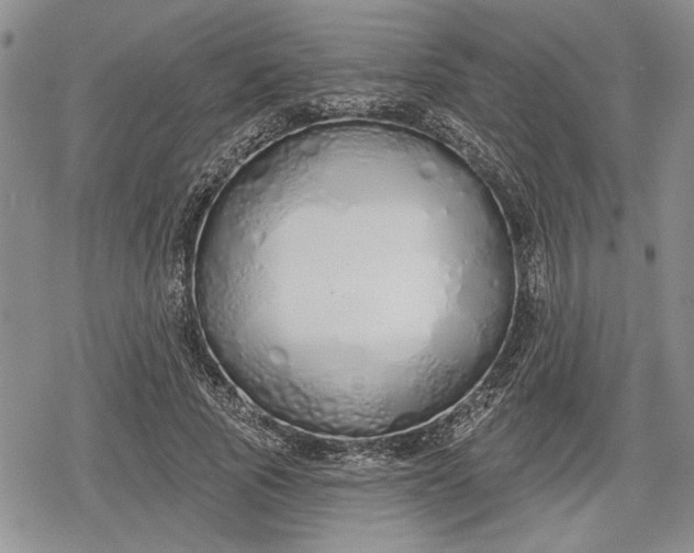 X0000078830737200611271256