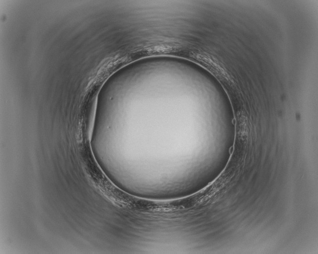 X0000078830738200611271256