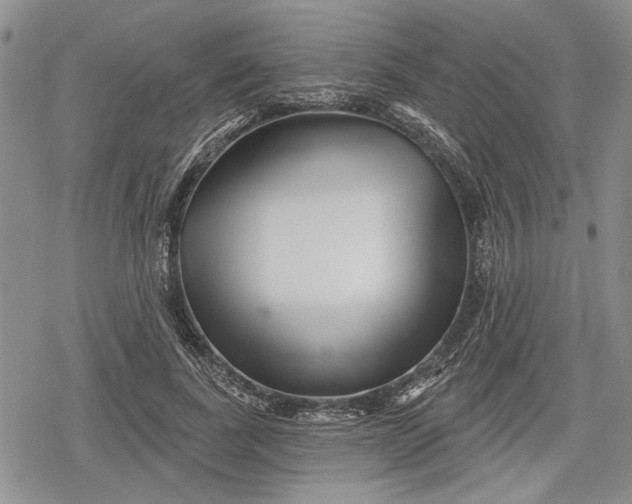 X0000078830739200611271256