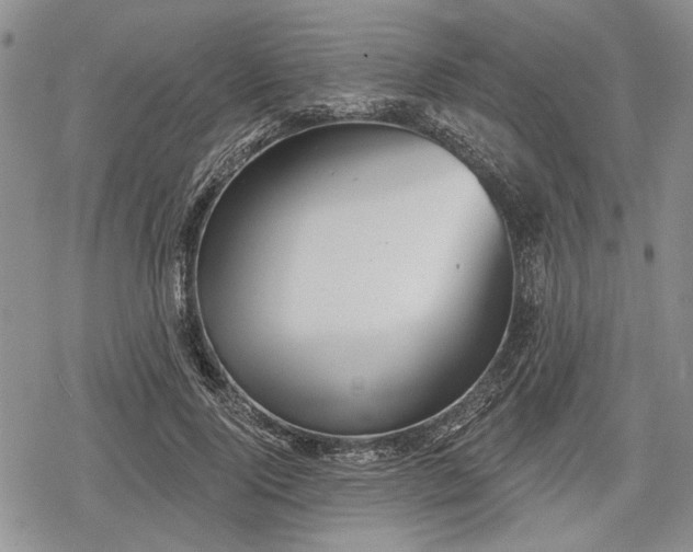 X0000078830740200611271256