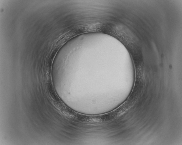 X0000078830741200611271256