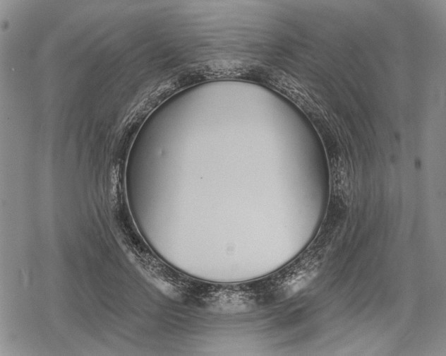 X0000078830742200611271256