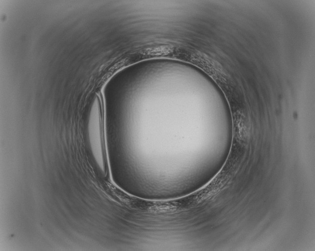 X0000078830745200611271256