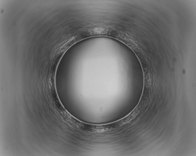 X0000078830746200611271256