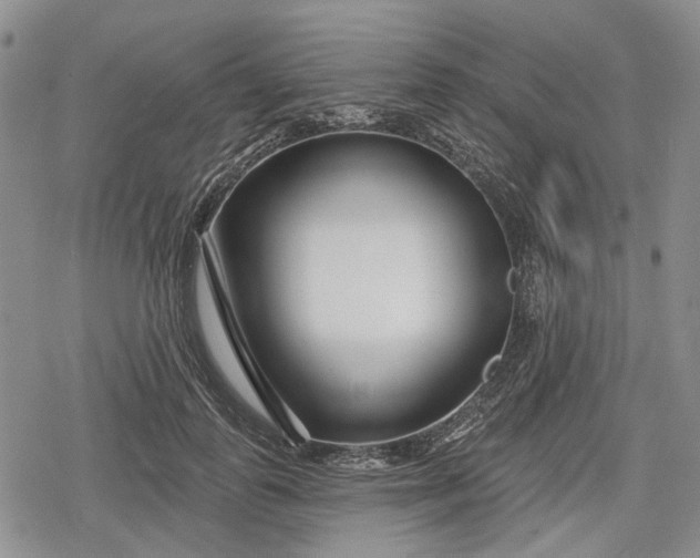 X0000078830747200611271256