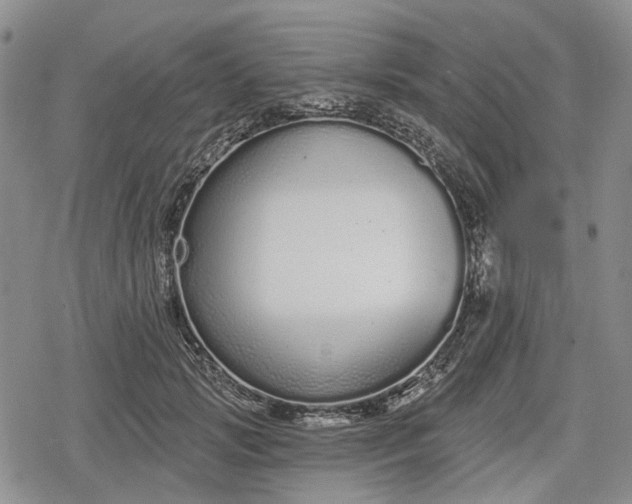 X0000078830749200611271256