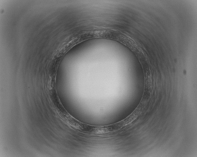 X0000078830750200611271256