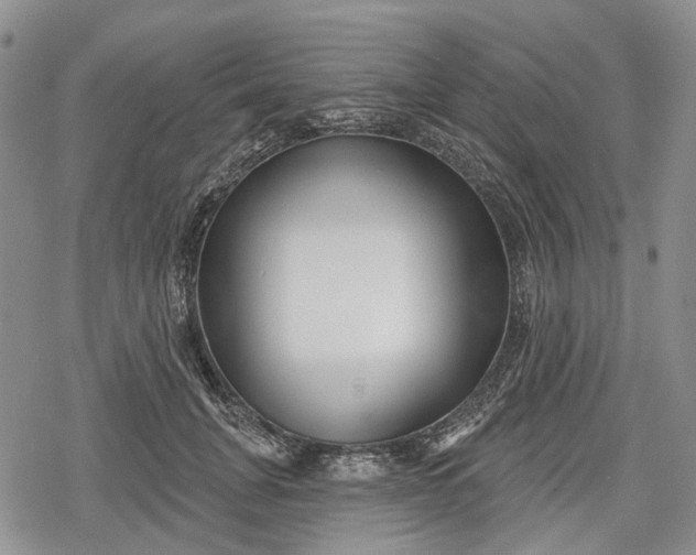 X0000078830751200611271256