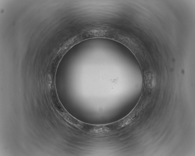 X0000078830752200611271256