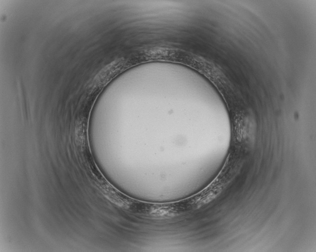 X0000078830753200611271257