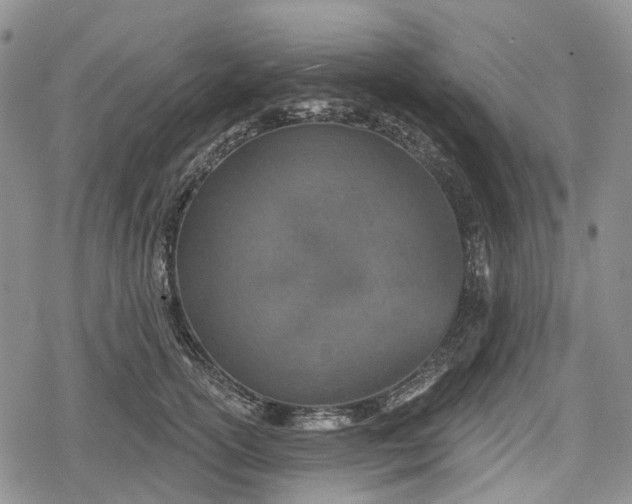 X0000078830754200611271257