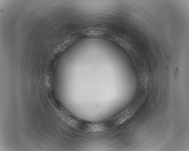 X0000078830755200611271257