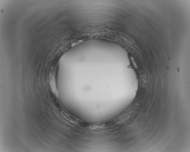 X0000078830756200611271257