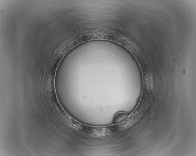 X0000078830757200611271257