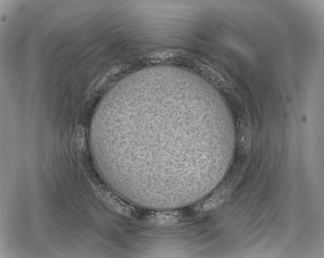 X0000078830758200611271257