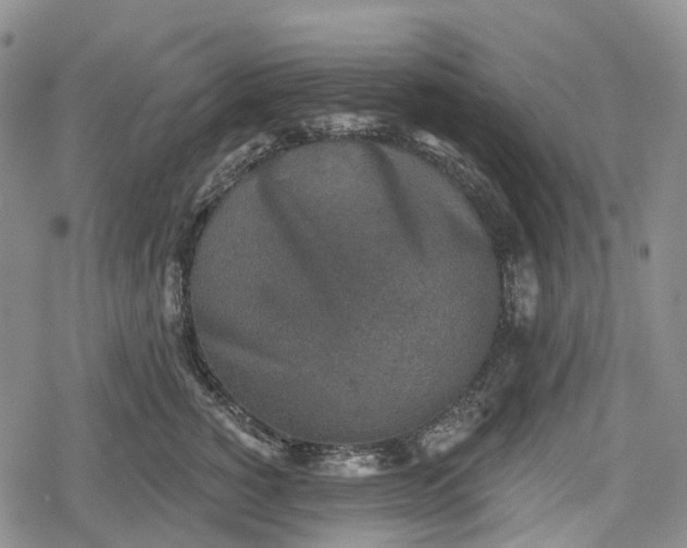 X0000078830760200611271257