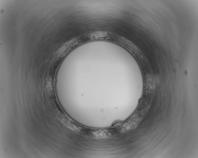 X0000078830761200611271257