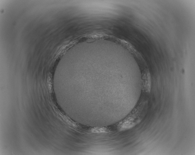 X0000078830762200611271257