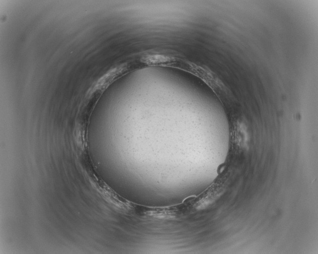 X0000078830763200611271257