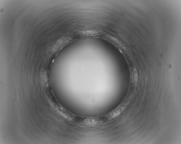 X0000078830764200611271257