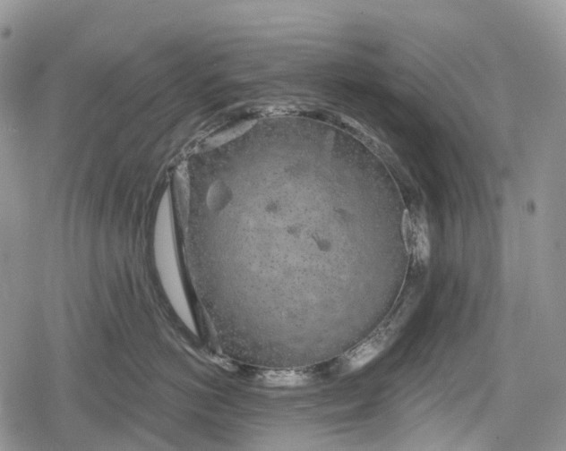 X0000078830766200611271257