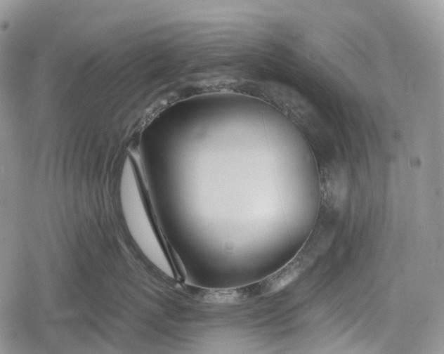 X0000078830767200611271257