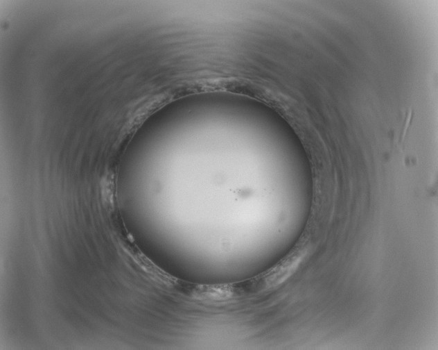 X0000078830768200611271257