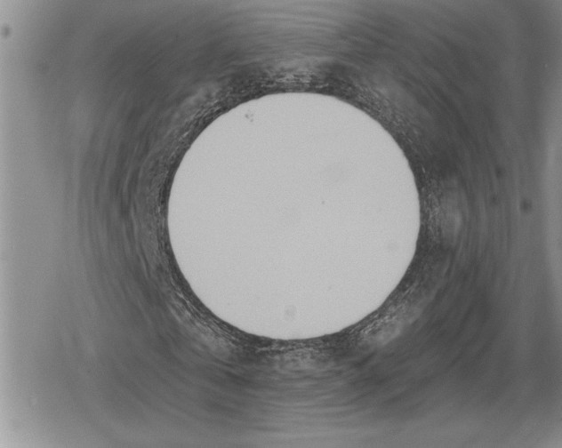 X0000078830769200611271256