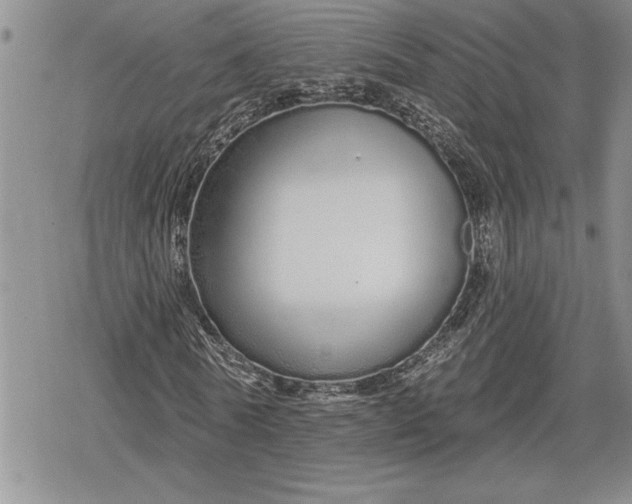 X0000078830770200611271256